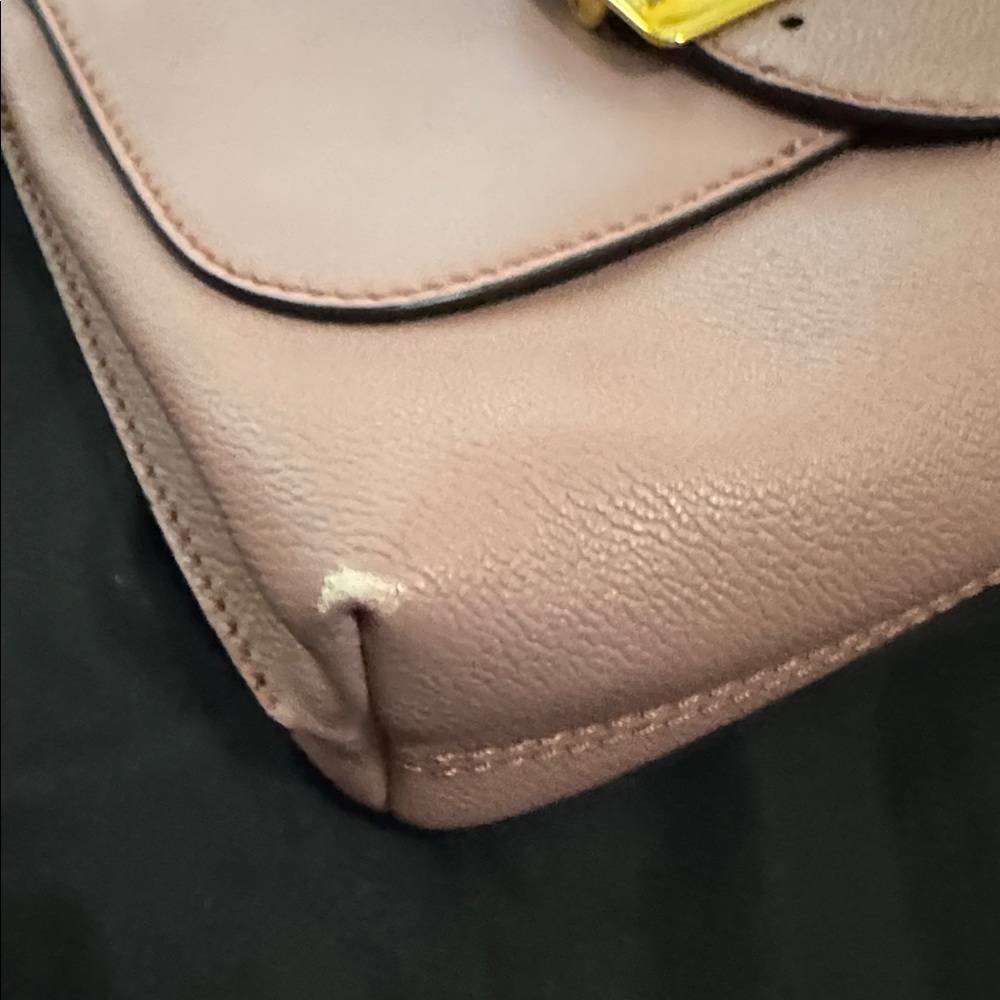 Burberry Dusty Pink Leather Crossbody Bag Gold Hardware - Picture 12 of 15